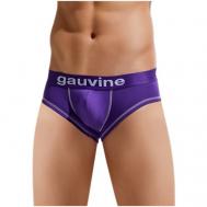 Трусы , размер L, фиолетовый GAUVINE
