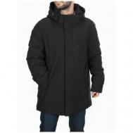 Куртка , мужская зимняя, размер 48, черный Нет бренда