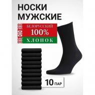 Мужские носки , 10 пар, размер 29(43-44), черный Фабрика Караван DS