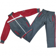 Комплект одежды , олимпийка и брюки, спортивный стиль, размер 110, серый, красный Wanex