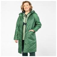 Куртка  , демисезон/зима, удлиненная, силуэт свободный, подкладка, утепленная, размер 74, зеленый Pit. Gakoff
