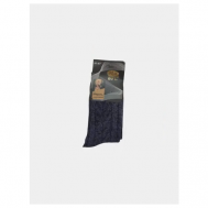 Мужские носки , 2 пары, классические, утепленные, размер 41-47, синий Bestyday