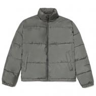 Куртка , демисезон/зима, размер L, серый ZNY