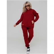 Костюм , худи и брюки, повседневный стиль, свободный силуэт, утепленный, карманы, размер 46, бордовый Dianida