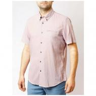 Рубашка , размер XXL, розовый Pierre Cardin