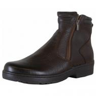 Ботинки , зимние, натуральная кожа, размер 45, коричневый Covani