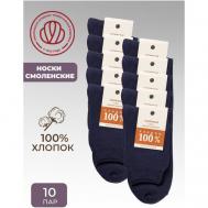 Мужские носки , 10 пар, 10 уп., классические, нескользящие, размер 25, синий Смоленская носочная фабрика