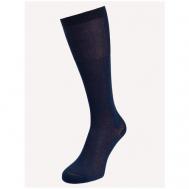 Мужские носки , 1 пара, классические, размер 27 (41-42), синий LORENZLINE
