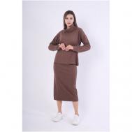 Костюм , джемпер и юбка, повседневный стиль, размер 42, коричневый Evemood