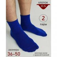 Носки  унисекс , 2 пары, размер 44-45, синий Biz-one