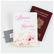 Обложка для паспорта , мультиколор Razzzrabotki