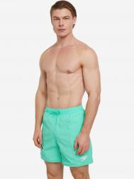 Шорты плавательные мужские  Essential, Зеленый SPEEDO