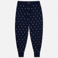 Мужские брюки  All Over Polo Pony Jogger, цвет синий, размер XL Polo Ralph Lauren