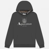 Мужская толстовка  Active Big Logo Raglan Hoodie, цвет серый, размер M Aquascutum