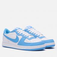 Мужские кроссовки  Terminator Low, цвет голубой, размер 44 EU Nike