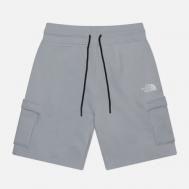 Мужские шорты  Icon Cargo, цвет серый, размер S THE NORTH FACE