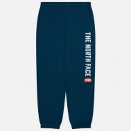 Мужские брюки  Varsity Graphic, цвет синий, размер XXL THE NORTH FACE