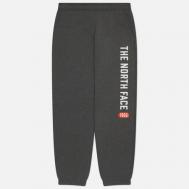 Мужские брюки  Varsity Graphic, цвет серый, размер XXL THE NORTH FACE