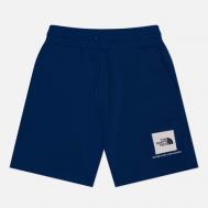 Мужские шорты  NSE Box Regular, цвет синий, размер XXL THE NORTH FACE