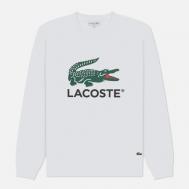 Мужская толстовка  Basic  Print Crew Neck, цвет белый, размер L Lacoste