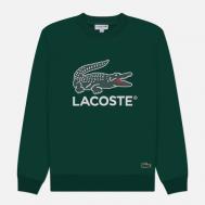 Мужская толстовка  Basic  Print Crew Neck, цвет зелёный, размер M Lacoste