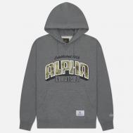 Мужская толстовка  Camo Logo Hoodie, цвет серый, размер L Alpha Industries
