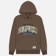 Мужская толстовка  Camo Logo Hoodie, цвет коричневый, размер XL Alpha Industries