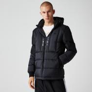 Мужская утеплённая куртка  Casual Fit Lacoste