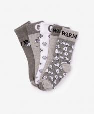 Комплект носков для мальчика с принтом в подарочной упаковке  (14-16) Gulliver