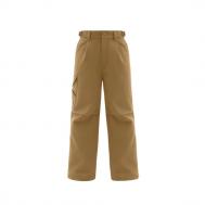 Брюки  Duck Canvas Pants FW25 Койот CALLED A GARMENT