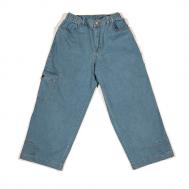 Джинсы  Wide Fit FW25 Blue Orange Larry Pants