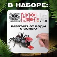 Робот паук Эврики