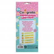 Карандаши цветные 12 цветов Calligrata