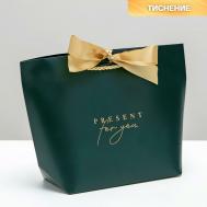 Пакет подарочный, упаковка, present for you, 19 х 20 х 9 см Дарите счастье