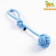 Игрушка-дразнилка для собак с шариком из каната, до 85 г, до 38 см, голубая/белая Пижон