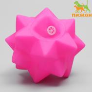 Игрушка пищащая Пижон