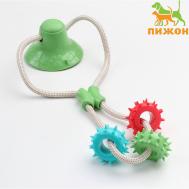 Игрушка для собак Пижон