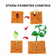 Обучающий набор NO BRAND
