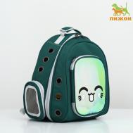 Рюкзак для переноски животных с окном для обзора, зеленый Пижон