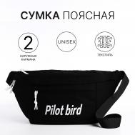 Сумка на одно плечо на молнии, 2 наружных кармана, цвет черный NO BRAND