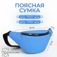 Сумка поясная на молнии, цвет синий NO BRAND