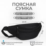 Поясная сумка на молнии, 3 наружных кармана, цвет черный NO BRAND