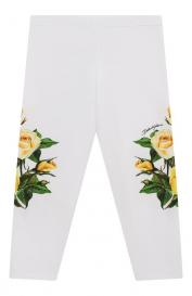 Хлопковые легинсы Dolce&Gabbana
