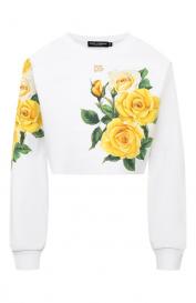 Хлопковый свитшот Dolce&Gabbana