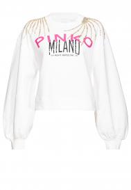 Свитшот Pinko