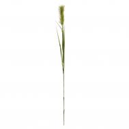 Цветок искусственный  Лисохвост  147 см зеленый Shandong hr arts