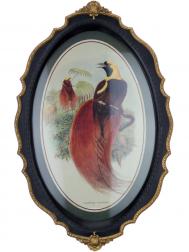 Панно  в овальной резной раме птица с красным пушистым хвостом, 39x24x3 см ГЛАСАР