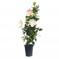 Цветок искусственный  Роза Светло-розовая в кашпо 102 см Tianjin