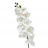 Орхидея фаленопсис  65721 102 см Конэко-О