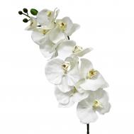 Орхидея фаленопсис  72921 102 см Конэко-О